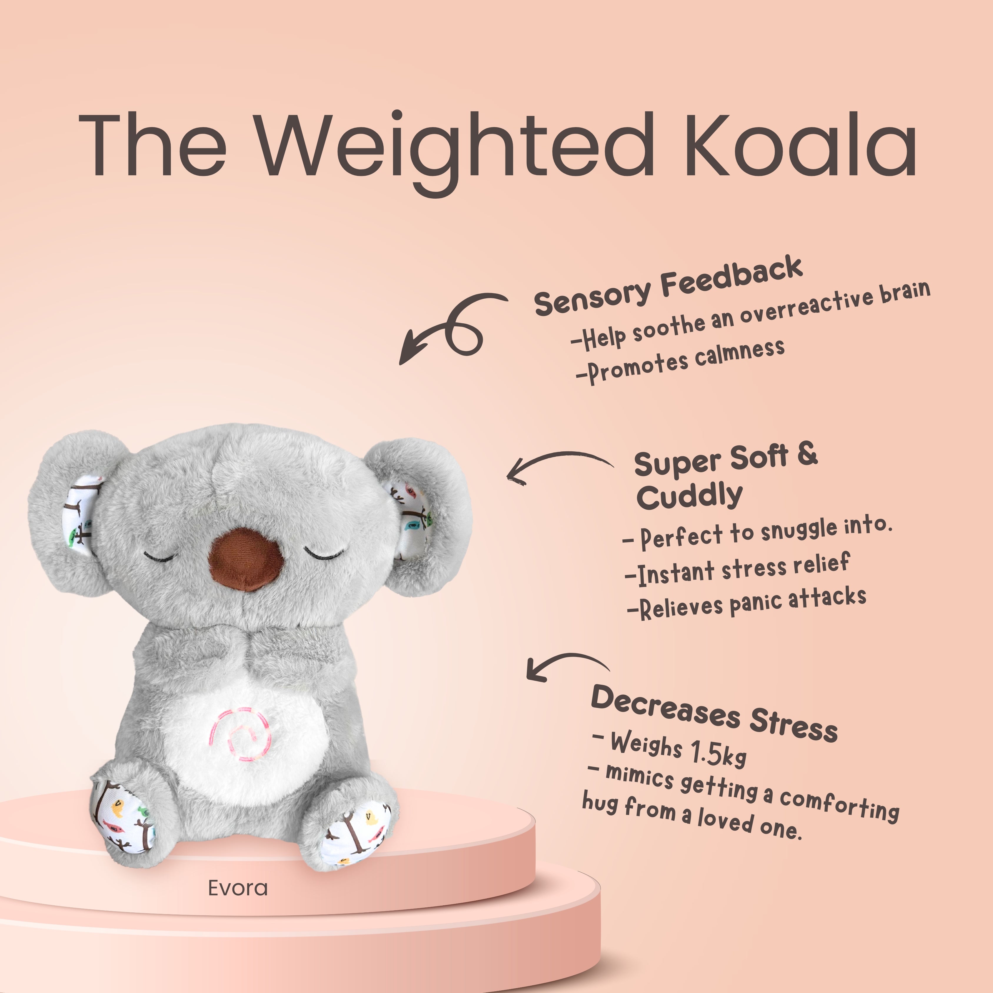 THE WEIGHTED KOALA Evora