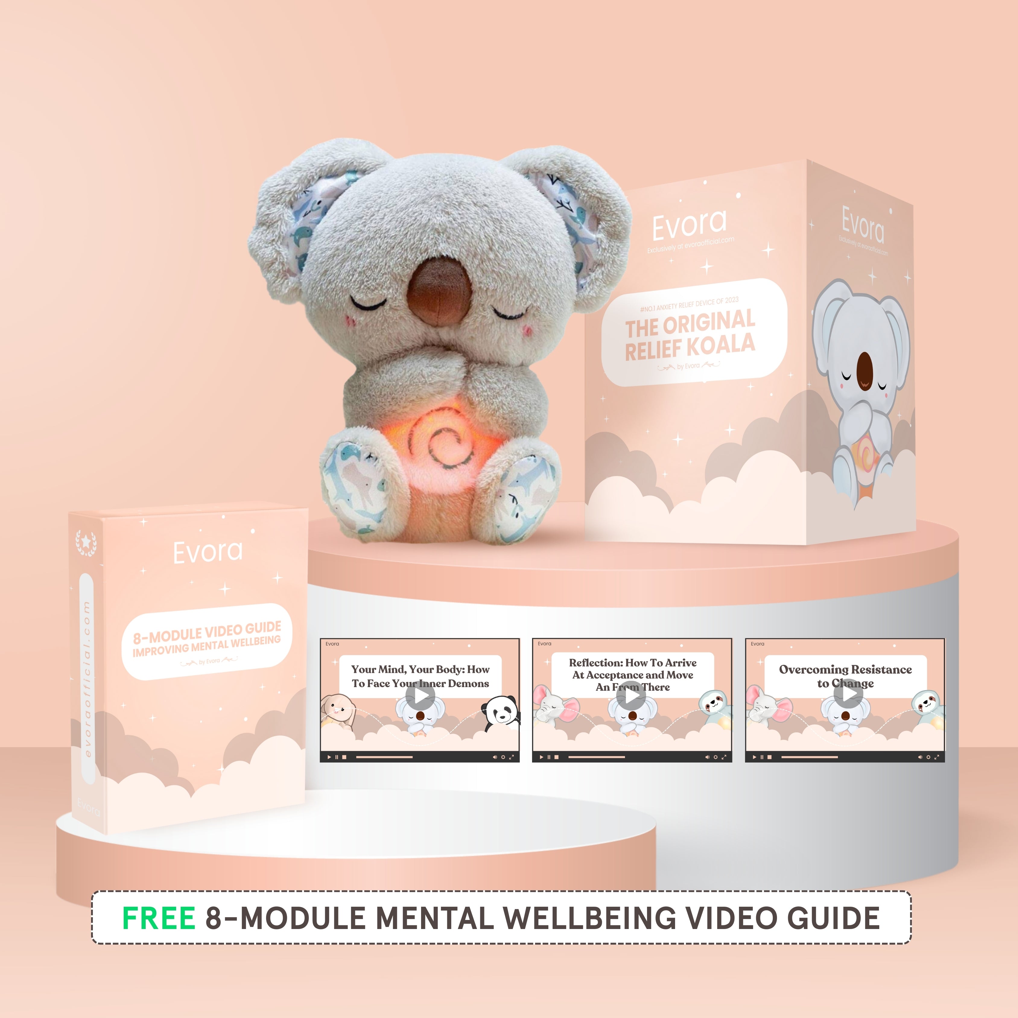 Original Relief Koala - Bundle with gifts