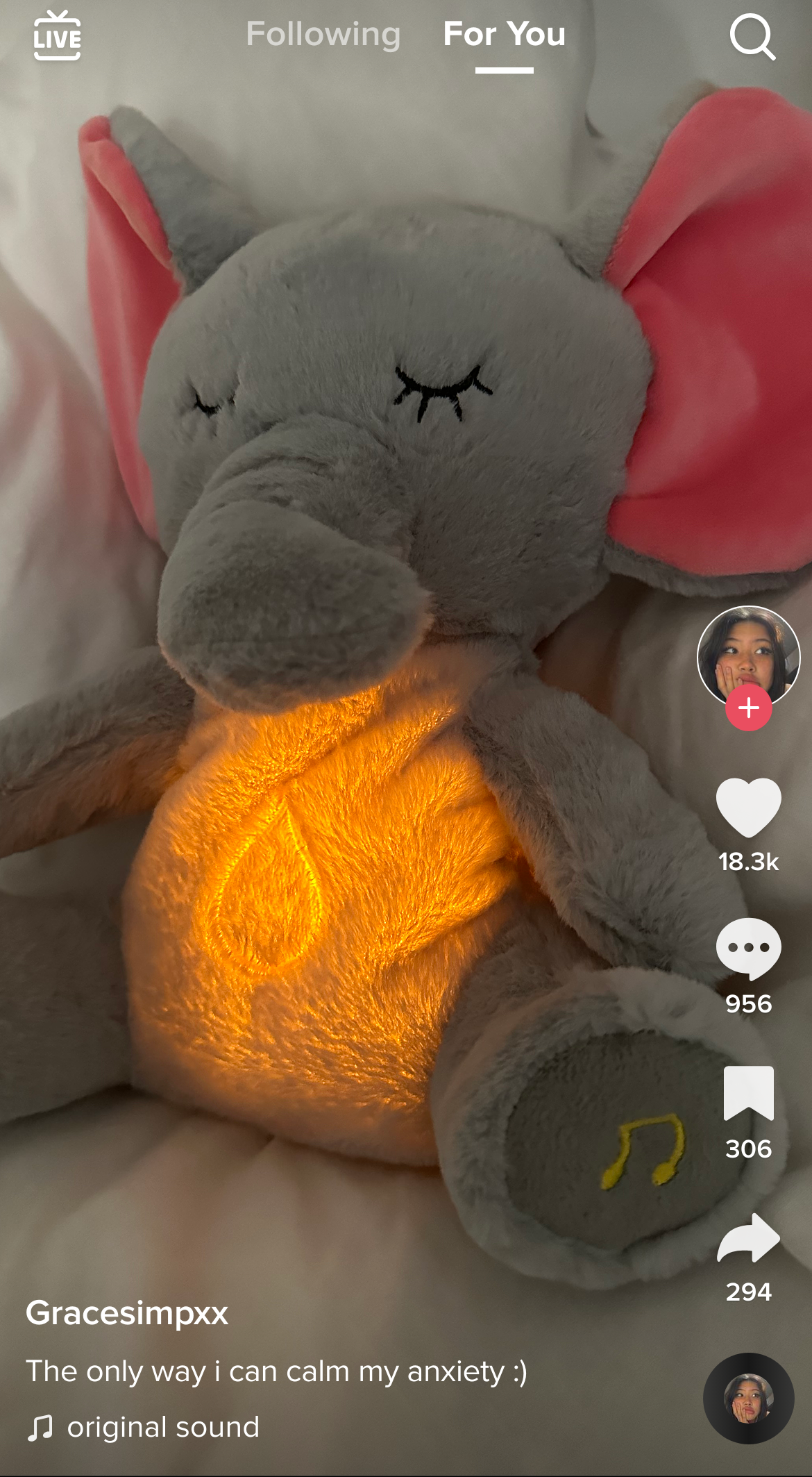 THE RELIEF ELEPHANT 10 tiktok video full screen 448909751853