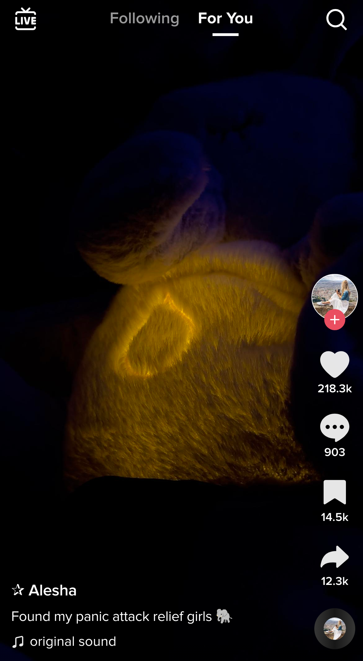 THE RELIEF ELEPHANT 11 tiktok video full screen 980411788625